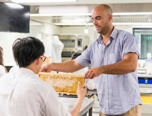 Honey Harvest Workshop